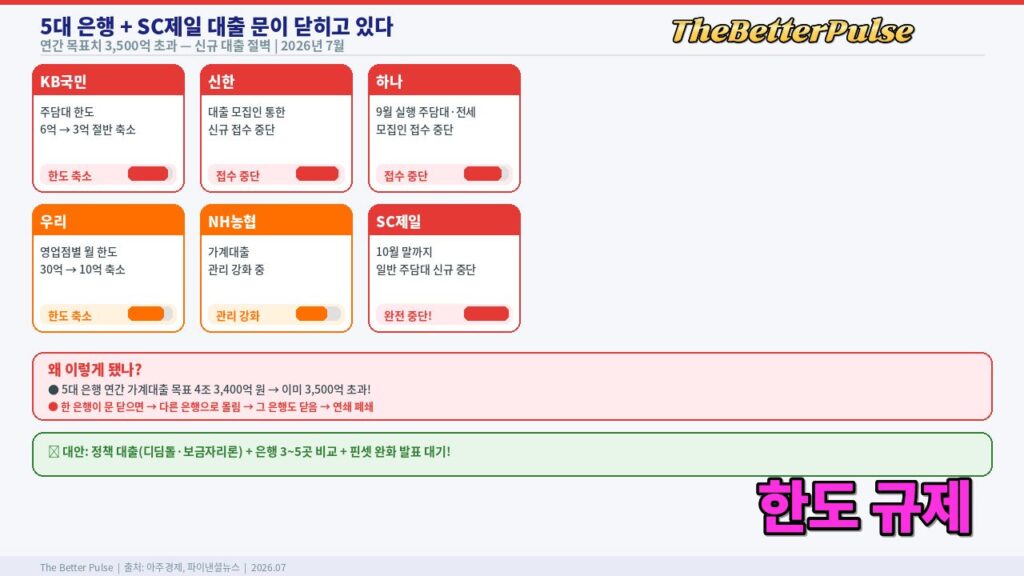 대출 한도 규제